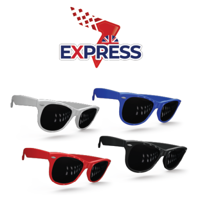 Express Renzo Sunglasses
