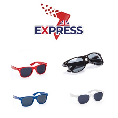 Express Renzo Sunglasses
